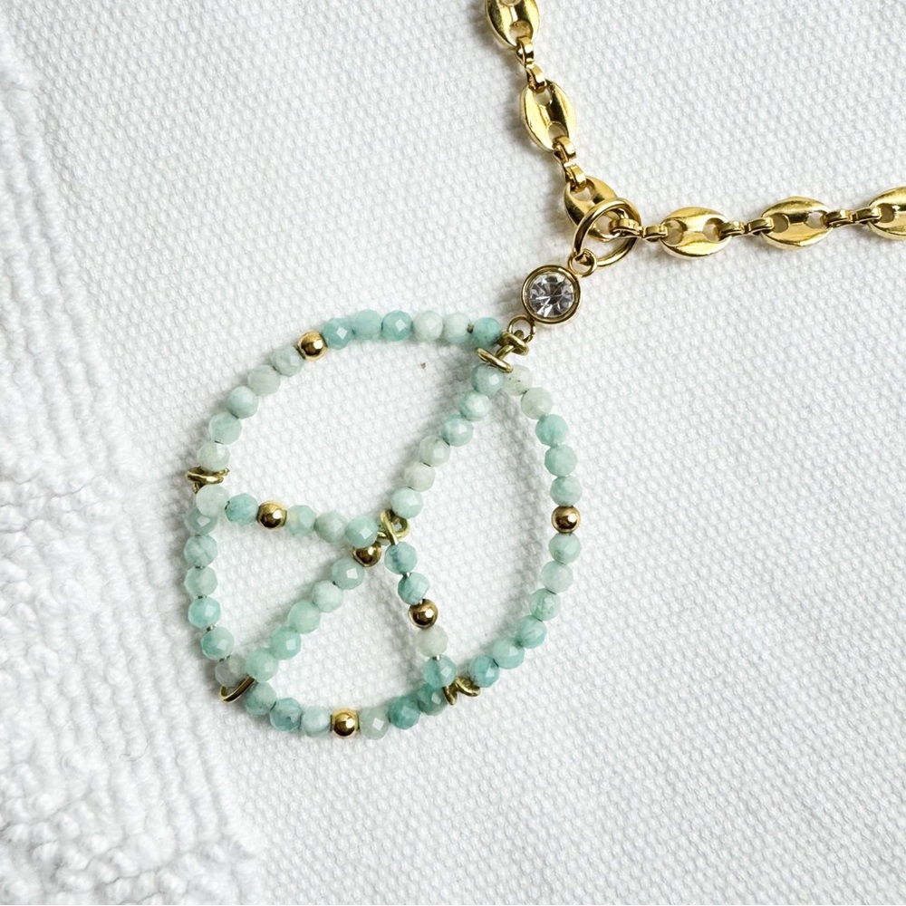 Stainless steel and Amazonite stone charm and long necklace.